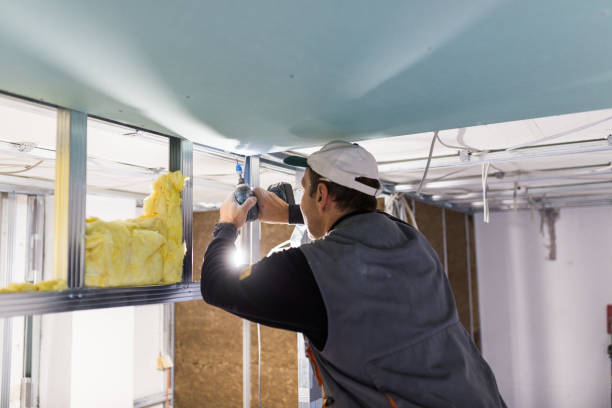 Best Insulation for Specific Applications in Bellevue, IA