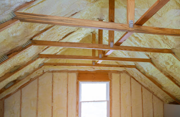 Best Insulation Maintenance and Repair in Bellevue, IA