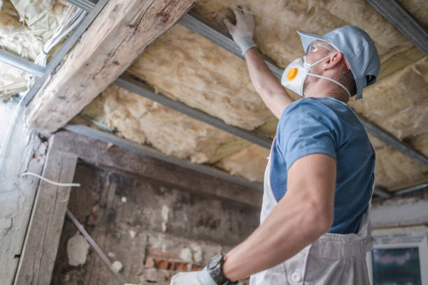 Best Insulation for Specific Applications in Bellevue, IA