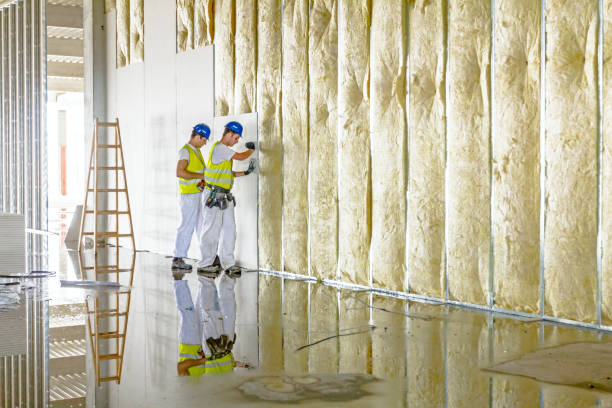 Best Insulation Materials and Products in Bellevue, IA